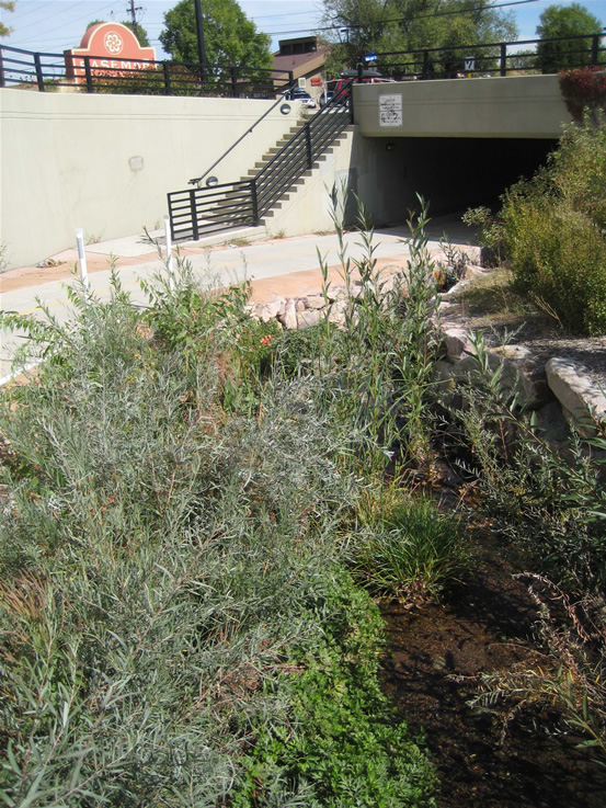 skunk canyon creek bike path wetlands